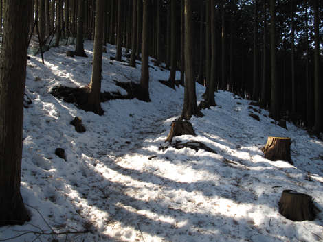 20160128hike (67)